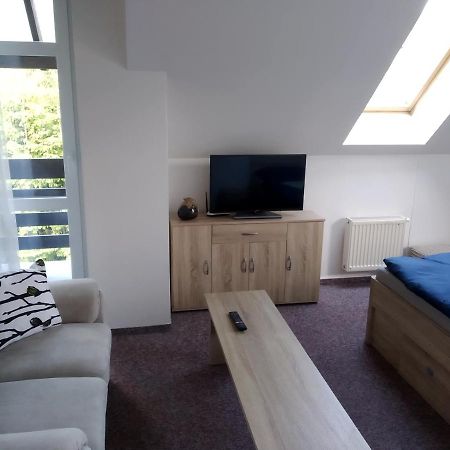 Apartman Violeta Harrachov Exterior photo
