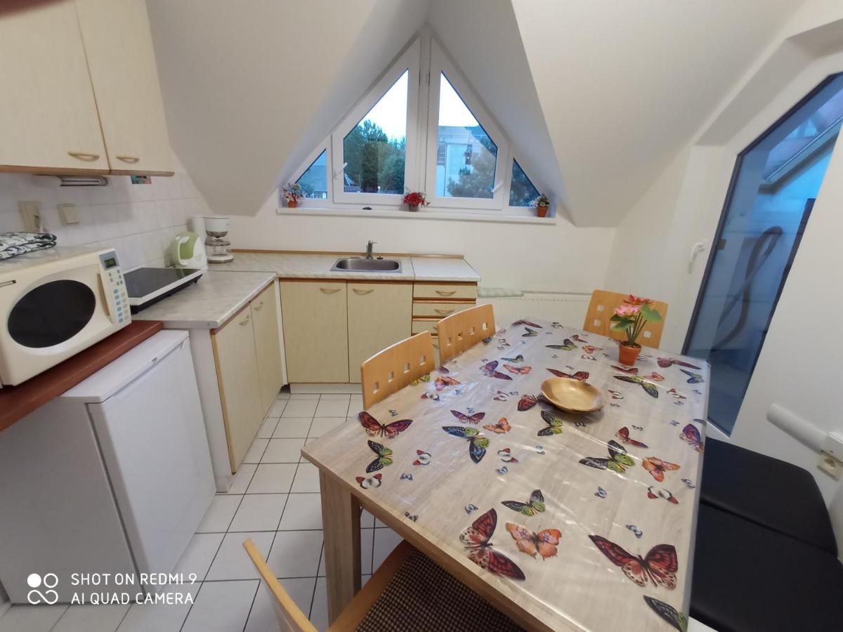 Apartman Violeta Harrachov Exterior photo